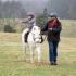 TVH Boxing Day Hunt